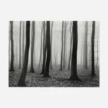 Luxembourg Woods #2 by Vincent Vallarino, 1974, gelatin silver print, sold Dec 2021
