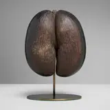 Seychellois, Coco de mer (fertility nut), coco de mer nut