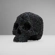 Fabien Baron, Dead or Alive