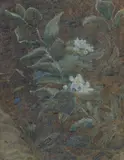 Katherine Cameron Rsw Re, Floral study, watercolour