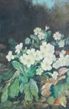Katherine Cameron Rsw Re, 'Leaf-Nested Primrose', watercolour and pencil