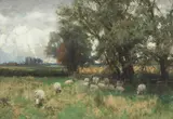 David Farquharson Ara Arsa Rsw Roi, Sheep grazing, oil on board