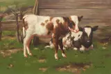 David Gauld Rsa, Calves Outside a Barn, oil on canvas