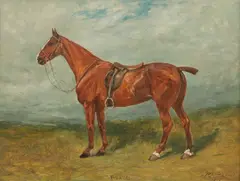 John Emms, Study of a Chestnut Hunter 'Pearl'