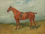 John Emms, Study of a Chestnut Hunter 'Pearl'