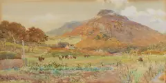 William Matthison, Cattle in a field, watercolour over traces of pencil, heightened with white