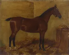 George Paice, A group of five horse portraits, oil on canvas