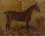 George Paice, A group of five horse portraits, oil on canvas