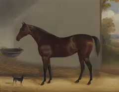 Jnr. John Frederick Herring, Stable companions, oil on board
