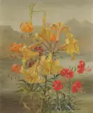 Still life of flowers by British School, oil on canvas, sold Sep 2024