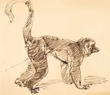 Théophile Steinlen, Monkey, identified on a label (affixed to the backing board); studio stamp (on the reverse) watercolor and ink on paper