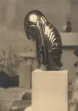 Constantin Brancusi, Mademoiselle Pogany II (Bronze Poli)