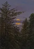 Carl Gustav Carus, Mond über Kiefern, Öl auf Papier, auf Karton