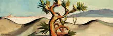 Pierre Sicard, Joshua Trees in Sand Dunes, c. 1954, Oil on canvas