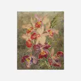 Mary Elizabeth Price, Orchids with Fern, oil and silver gilt on Masonite in original frame