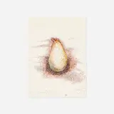 Dora Maar, Pear