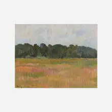 Summer Field by Carl Buergerniss, 1916, oil on canvas, sold Dec 2021