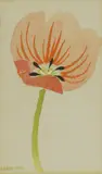 Mary Fedden, Untitled