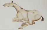Elisabeth Frink, Untitled, pencil and watercolour 52 x 77cm .