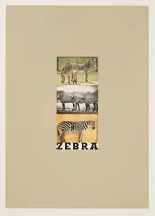 Untitled by Peter Blake, Sir Peter Blake RA (b.1932) 'Z IS FOR ZEBRA' Screenprint in colours, sold Oct 2019