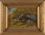 Samuel Colman, Study of Rocks
