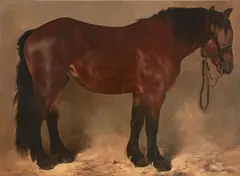 J. P. Espiennes, A brown draft horse, oil on canvas