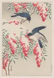 Ohara Koson, Nanteen Bush and Flycatcher in Snow, 1929, Woodblock in colors on wove paper