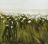 Ardoth Terrill Hughes, Daisy hedge, oil on canvas