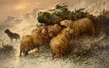 August Friedrich Albert Schenck, A flock of sheep in a snow storm, oil on canvas
