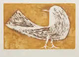 Ota Janeček, Pidgeon