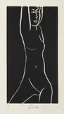 Ota Janeček, Nude