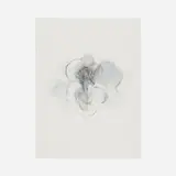 Hedda Sterne, Untitled Drawing (Blossoms)