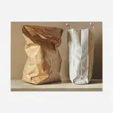 Claudio Bravo, Untitled (Bolsas de papel)