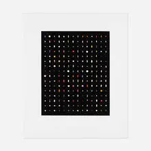Fred Tomaselli, 16 x 14 to the highest power, 1998, etching in colors