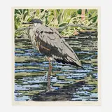 Neil Welliver, Immature Great Blue Heron, 1978, hand-colored etching on Arches Cover