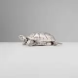 Pradella Ilario, Turtle box