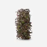 Claire Falkenstein, Untitled (Fusion)