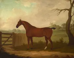 John Francis Sartorius, A bay hunter by a gate in a landscape, oil on canvas