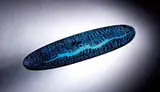 Paolo Venini, Rare Canoa a Murrine