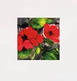 Red Flowers (from Fruits and Flowers portfolio) & Peppers, May 30, 1989 (2) by Donald Sultan, 1989, Color screenprint on Arches 88 paper, sold Oct 2013