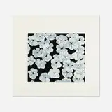 Wallflower 8 (from the Wallflowers series) by Donald Sultan, 2008, screenprint in colors, sold Oct 2021