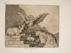 Francisco Goya, Los Desastres de la Guerra
