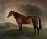 John Rattenbury Skeaping R.A., Bay horse in a landscape, oil on canvas