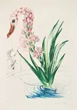 Water Hibiscus and Swan by Salvador Dalí, 1972, Drypoint etching and lithograph on heavy Arches, sold May 2013