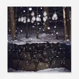 Anthony Goicolea, Pinata, 2010, c-print mounted to acrylic