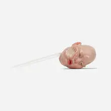 Dongwook Lee, Untitled, 2006, painted wax, acrylic