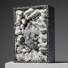 Yayoi Kusama, Nostalgia, 1986, mixed media