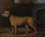 Tiger outside his kennel by English School, oil on canvas, offered Feb 2024