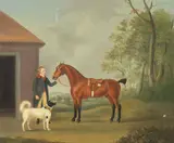 Francis Sartorius, A bay horse with groom and dog, oil on canvas