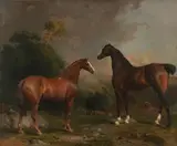 Thomas Mogford, Three horses in a woodland landscape, oil on canvas